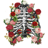 Thorax | roses | Squelette | festival