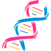 La structure d'une molécule d'ADN