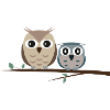Chilling owls