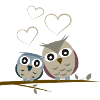 cuddly owls