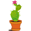A cactus with blossom