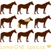 JaC's Haflinger