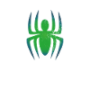 Spinne Tarantel Vogelspinne schwarze Witwe