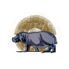 hippopotamus