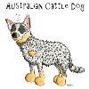 Bouvier Australien - Australian Cattle Dog