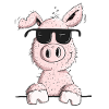 Smart pig with sunglasses