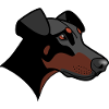 Dobermann - Nessie
