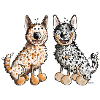 Two Australian Cattle Dogs