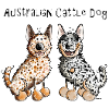 Two funny Australian Cattle Dogs