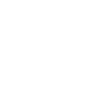 Pirate cat