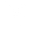 Pêche pêche