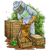 Beekeeper beekeeper honey bee