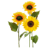 Three sunflowers