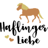 Haflinger love Haflinger