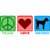 Irish Terrier chien Love