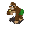 Cool monkey