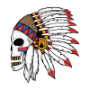 Indian skull with feathers