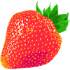 Erdbeere