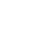 Shirt Shit