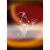 Hockey