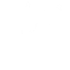 camping mit hund