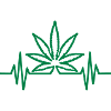 Marijuana