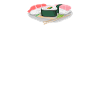 Sushi Sushi Sushi