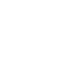 Mechanic skull