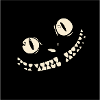 grinsekatze
