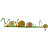 escargot