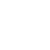 Clumber Spaniel