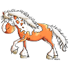 Occidental De Cheval Drôle - Chevaux
