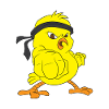 Karate chick bird