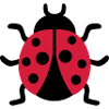 Ladybug