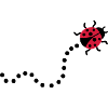 Ladybug
