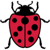 Ladybug