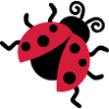 Ladybug