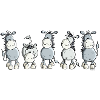 Funny Donkey - Animal