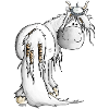 Viking Islandais Cheval - Chevaux