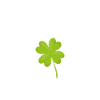Glücksbringer Kleeblatt