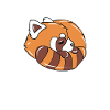 Roter Panda