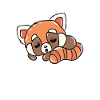 Panda rouge