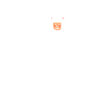 Lama Lama Lama