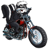 Skunk Biker