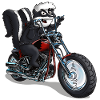 Skunk avec une ombre