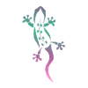 lizard