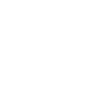 Duck Wild Duck Animal
