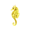 Seahorse
