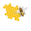 Bee beekeeper bees whisperer