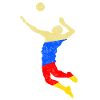Volleyball volleyball player